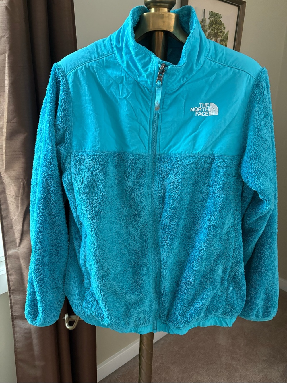 The North Face Bright Teal Plush Full-Zip Fleece Jacket
